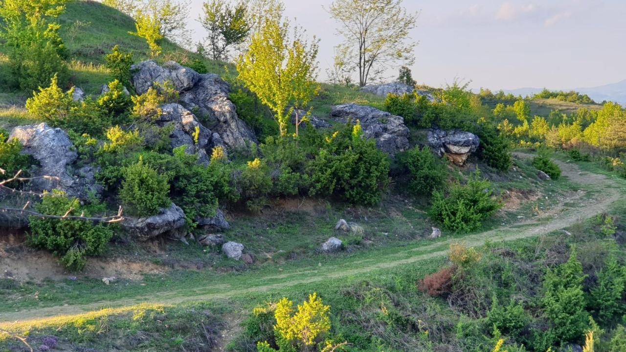 Бялата Къща 호텔 Chakalarovo 외부 사진